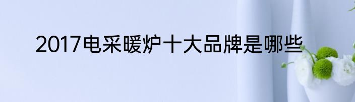 2017电采暖炉十大品牌是哪些