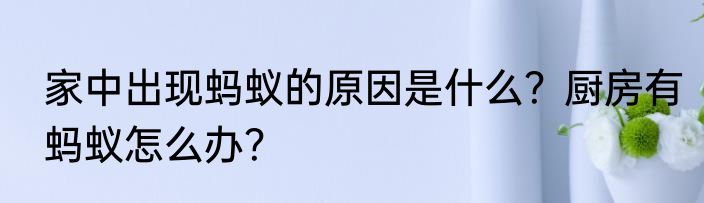 家中出现蚂蚁的原因是什么？厨房有蚂蚁怎么办？