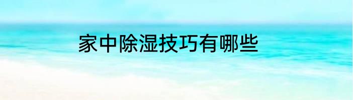 家中除湿技巧有哪些