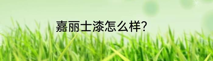 嘉丽士漆怎么样？