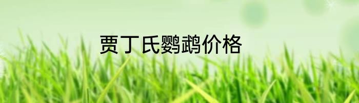 贾丁氏鹦鹉价格