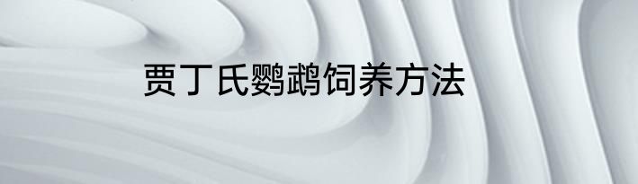 贾丁氏鹦鹉饲养方法