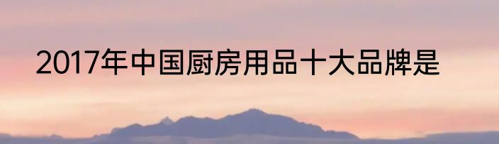 2017年中国厨房用品十大品牌是