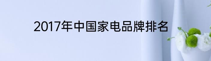 2017年中国家电品牌排名