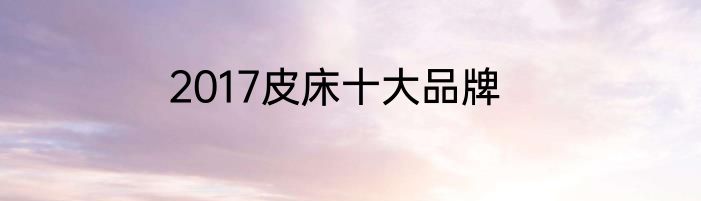 2017皮床十大品牌