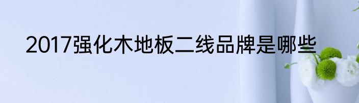 2017强化木地板二线品牌是哪些