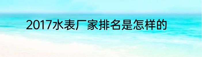 2017水表厂家排名是怎样的
