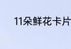 11朵鲜花卡片简短表白语有哪些