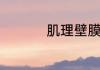 肌理壁膜优缺点有哪些