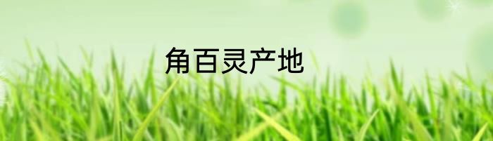 角百灵产地