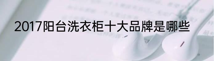 2017阳台洗衣柜十大品牌是哪些