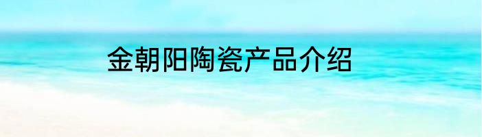 金朝阳陶瓷产品介绍