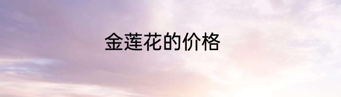 金莲花的价格