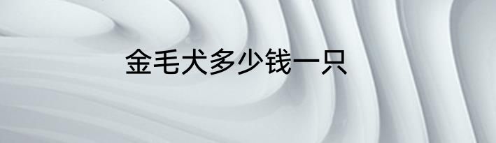 金毛犬多少钱一只