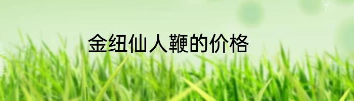 金纽仙人鞭的价格