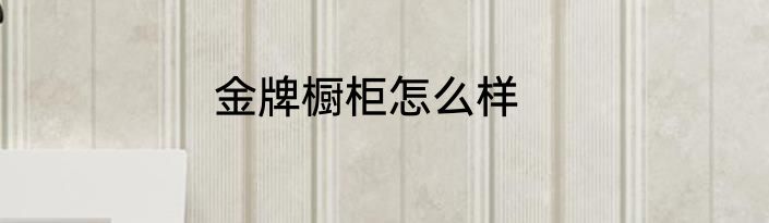 金牌橱柜怎么样