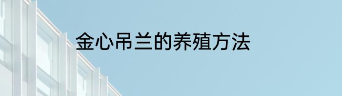 金心吊兰的养殖方法