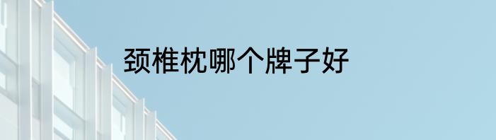 颈椎枕哪个牌子好