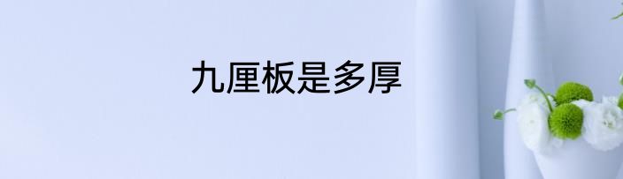 九厘板是多厚