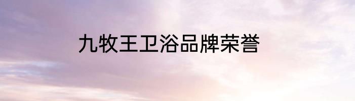 九牧王卫浴品牌荣誉
