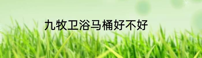 九牧卫浴马桶好不好