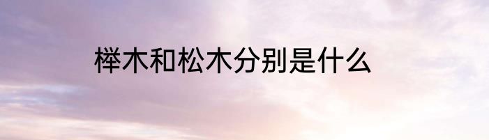 榉木和松木分别是什么