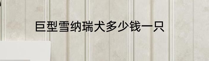 巨型雪纳瑞犬多少钱一只