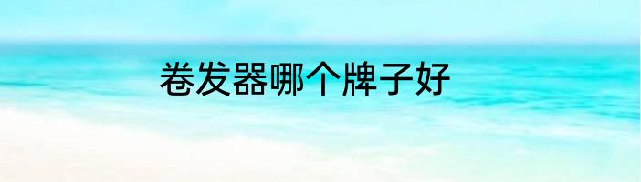 卷发器哪个牌子好