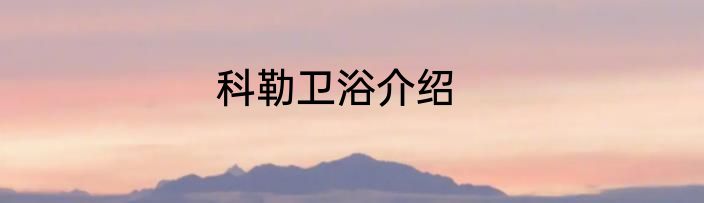 科勒卫浴介绍