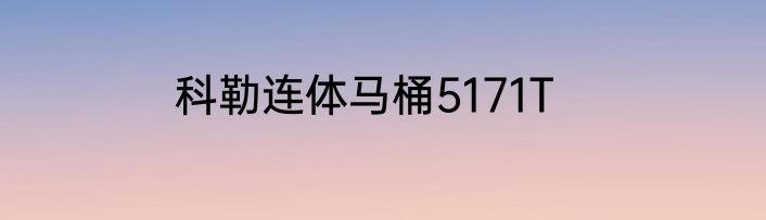 科勒连体马桶5171T
