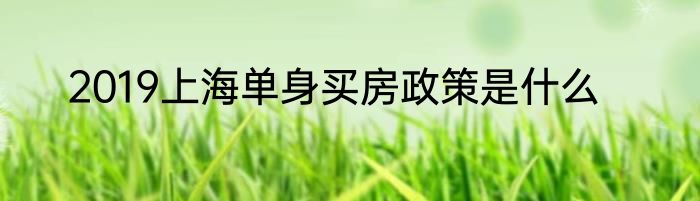 2019上海单身买房政策是什么