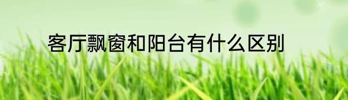 客厅飘窗和阳台有什么区别