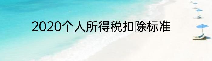 2020个人所得税扣除标准