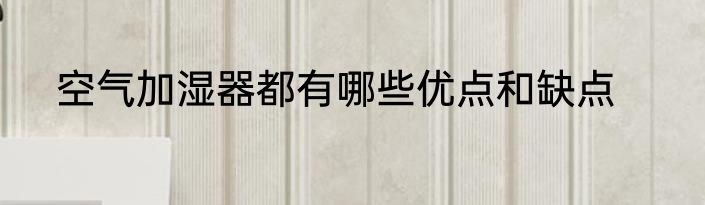 空气加湿器都有哪些优点和缺点