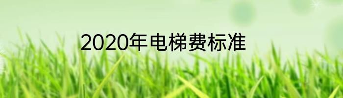 2020年电梯费标准