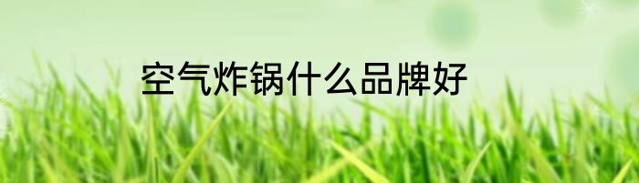 空气炸锅什么品牌好