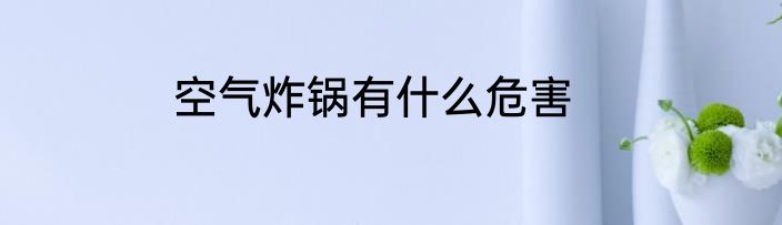 空气炸锅有什么危害