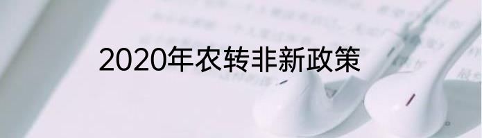 2020年农转非新政策