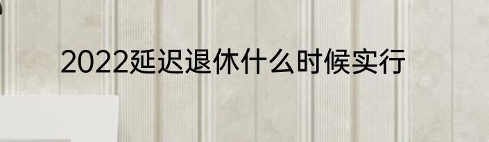 2022延迟退休什么时候实行