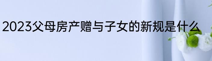 2023父母房产赠与子女的新规是什么