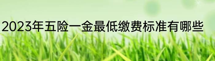 2023年五险一金最低缴费标准有哪些