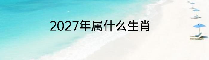 2027年属什么生肖