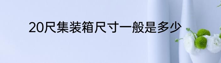 20尺集装箱尺寸一般是多少