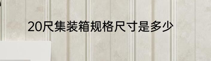 20尺集装箱规格尺寸是多少