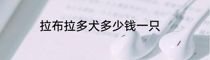 拉布拉多犬多少钱一只