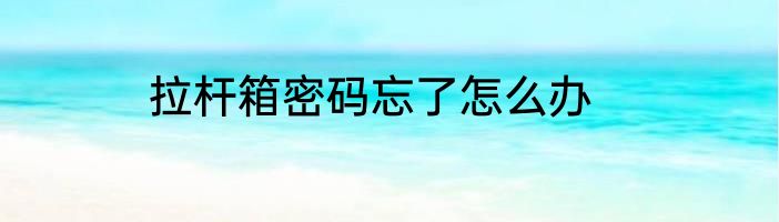 拉杆箱密码忘了怎么办