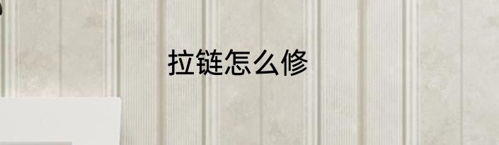 拉链怎么修