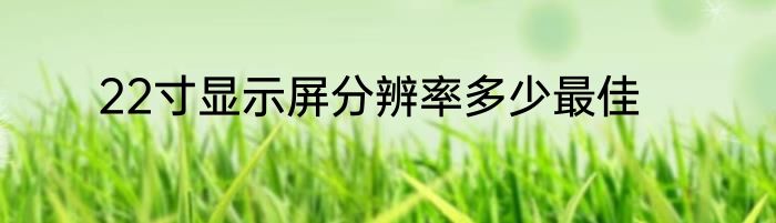 22寸显示屏分辨率多少最佳