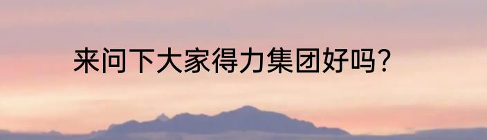 来问下大家得力集团好吗？