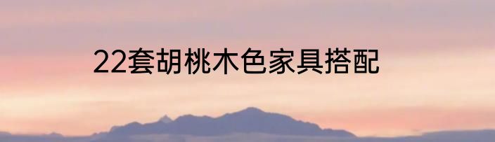 22套胡桃木色家具搭配